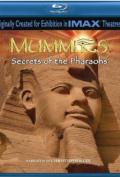 Mummies Secrets of the Pharaos